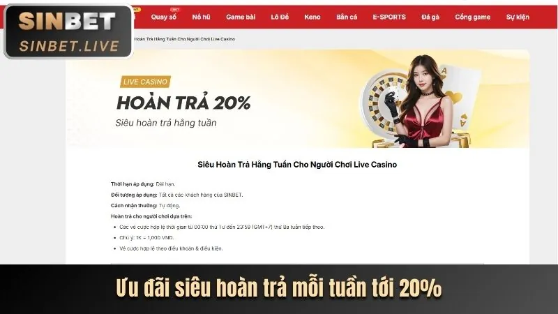 Hướng dẫn casino trực tuyến từ A-Z cho người mới bắt đầu